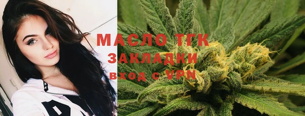 сатива Армянск
