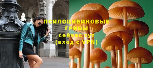 сатива Армянск